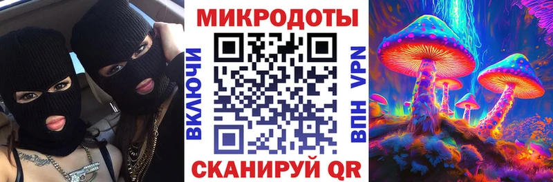 Галлюциногенные грибы мухоморы  Сковородино 