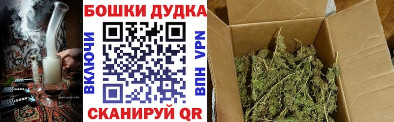 Шишки марихуана план Сковородино